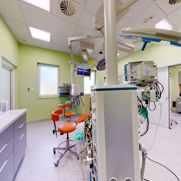 HLP Clinic