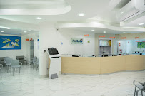 Amerident Grupo Odontológico