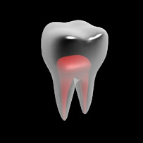 Dr. Nelson Rodriguez Rodriguez, DMD, Prosthodontist
