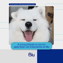 Clínica Blu | Dentista em Brasília