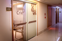 Crie Odontologia
