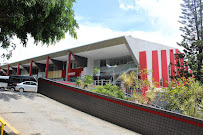 Dra Virna Patusco Odontologia
