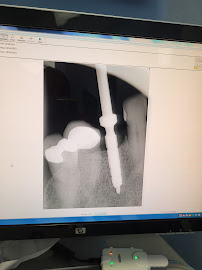 DENTISTA: ODONTOLOGICO LAMPART