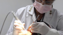 HC Specialized Dentistry