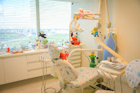 Apollo Clinic Modern Dentistry