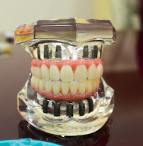 Oral Unic