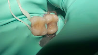Dental Artex clínica dental Dentistas en Guadalajara zona joyas del nilo