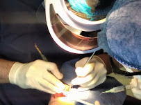 Dental Artex clínica dental Dentistas en Guadalajara zona joyas del nilo
