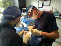 Dental Artex clínica dental Dentistas en Guadalajara zona joyas del nilo