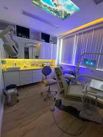 Fibro Odontologia