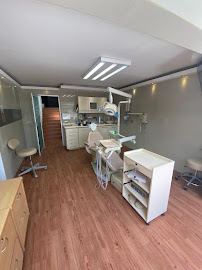 PLATINUM DENTAL