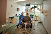 CD3 Odontologia