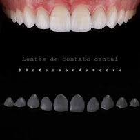 Dr. Fernando Terra