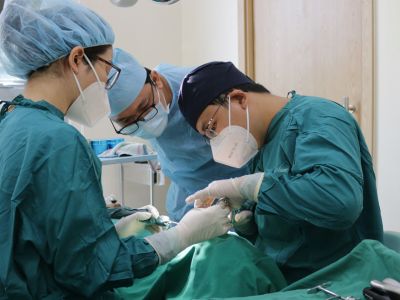 Dr. Care Implant Clinic dental clinic
