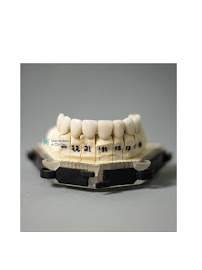 Dentistas e Cia