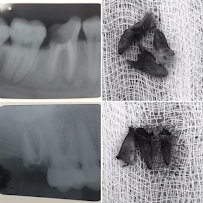 Instituto Jivael Morais - Dentista Maceió - Urgência 24h