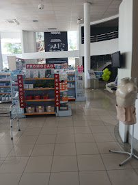 Dental Médica