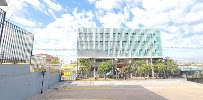 Dr. LEONARDO CORREA MIRANDA - INSTITUTO ECCELLENZA