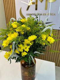 AMP Odontologia