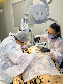 Eko Dental - Odontologia Especializada