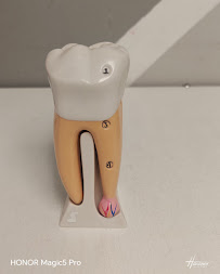 Clínica Dental Santa Sofía Guadalajara