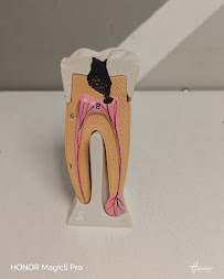 Clínica Dental Santa Sofía Guadalajara