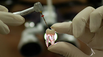 Celina Lang Odontologia Especializada