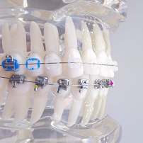 Dentista Aristênio / Ortodontista / Pelotas