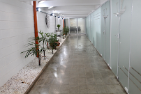 AVALE Odontologia
