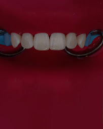 Daniel Salgueiro - Dentista em Bauru