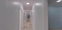 Molinos Odontologia