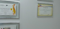 Odonto Design
