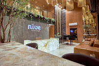Nive Odontologia