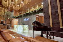 Nive Odontologia