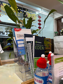Dentistry Eden