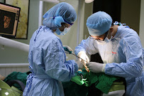 Dentistry Eden