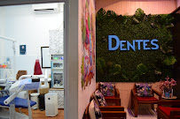 Dentes - Seturan