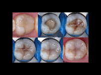 Maximilian Dental Center