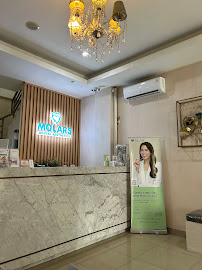 Molars Dental Aesthetics