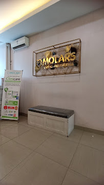 Molars Dental Aesthetics
