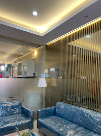 Molars Dental Aesthetics
