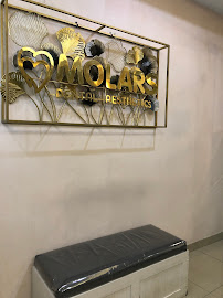 Molars Dental Aesthetics