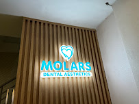 Molars Dental Aesthetics in Bandung