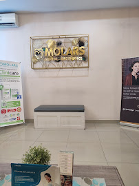 Molars Dental Aesthetics