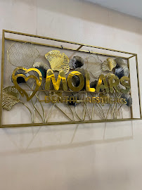 Molars Dental Aesthetics