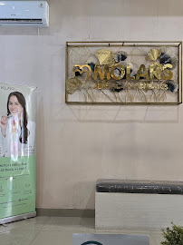 Molars Dental Aesthetics