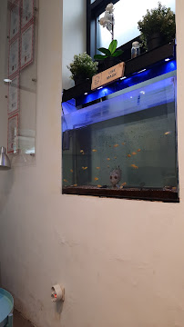 Casadienta Dental Clinic Wastukencana
