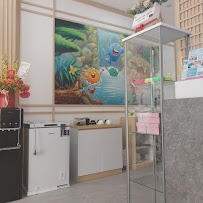 Klinik Gigi Dentes | Klinik Gigi Medan, Sumatera Utara | Behel, Kawat Gigi, Scaling, Tambal, Cabut, dll