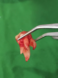 Dental Office by Peiter Gozali, drg, M.Sc (OMFS surgeon)., Sp.BMMF