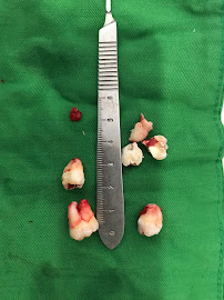 Dental Office by Peiter Gozali, drg, M.Sc (OMFS surgeon)., Sp.BMMF
